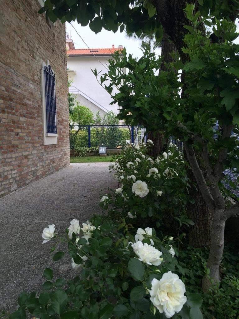 Vila La Casa Della Cicogna Una Casa Al Mare Ideale Anche Per Gli Impegni Di Lavoro O Studio Bellocchi Exteriér fotografie