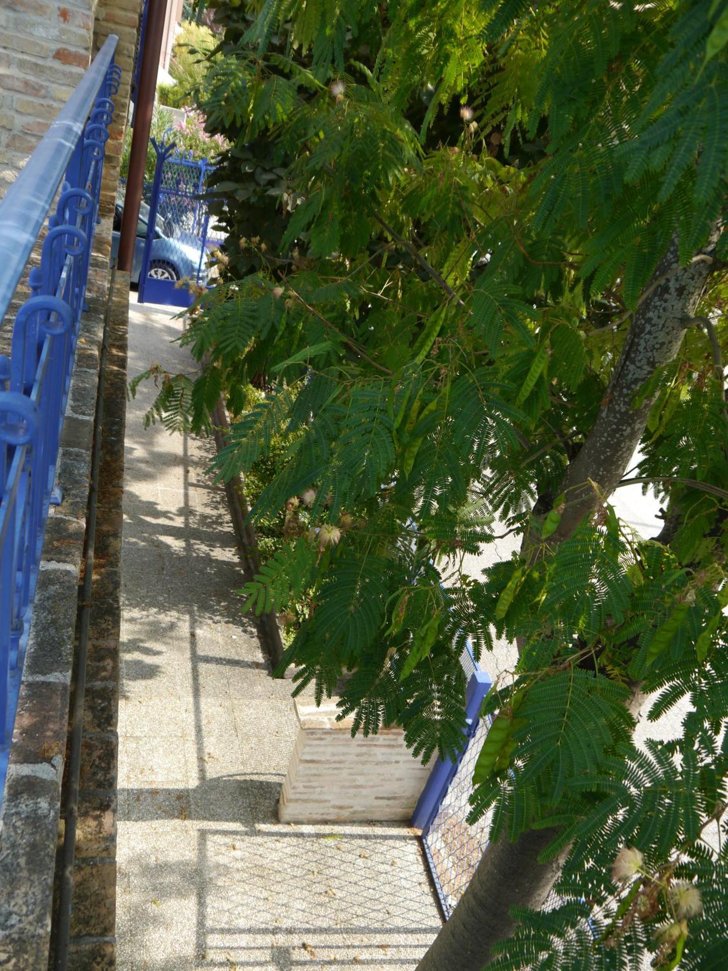 Vila La Casa Della Cicogna Una Casa Al Mare Ideale Anche Per Gli Impegni Di Lavoro O Studio Bellocchi Exteriér fotografie